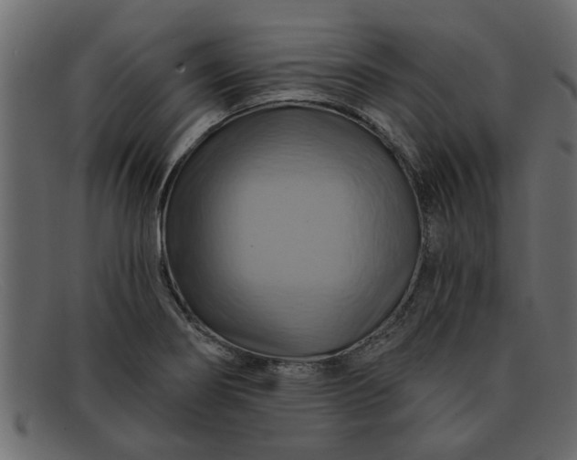 X0000091911274200709191313