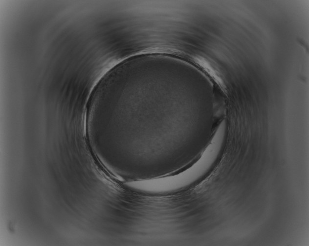 X0000091911276200709191313