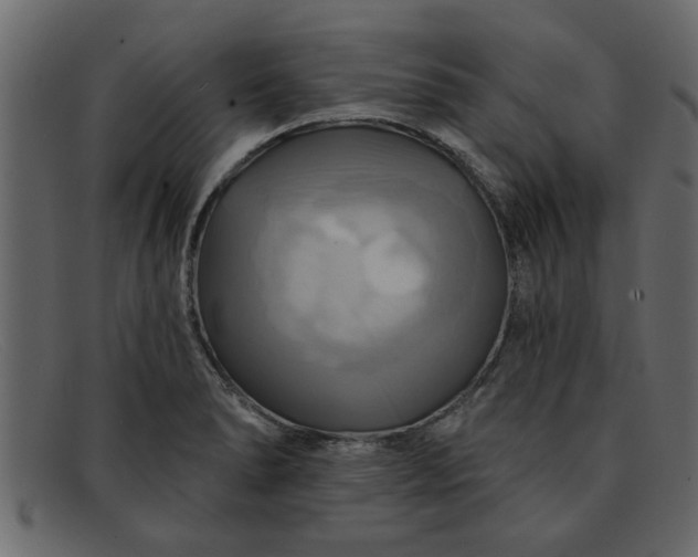 X0000091911278200709191313