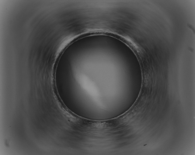 X0000091911279200709191313