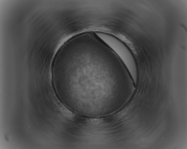 X0000091911280200709191313