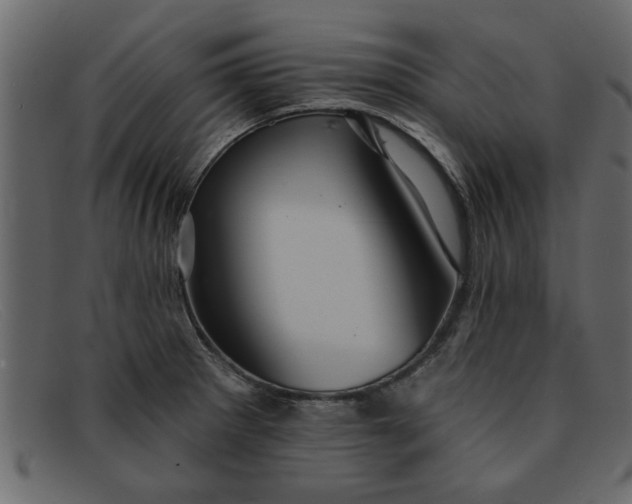 X0000091911281200709191313