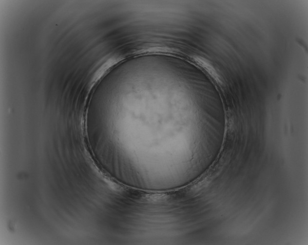 X0000091911282200709191313