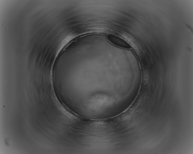 X0000091911283200709191313