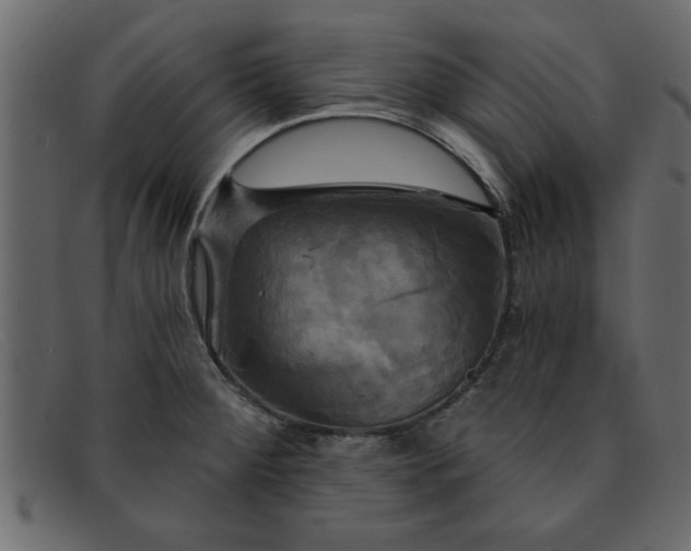 X0000091911284200709191313