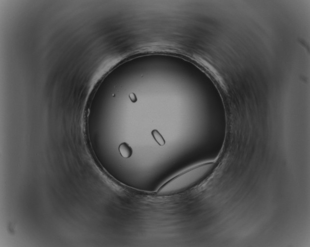 X0000091911285200709191313