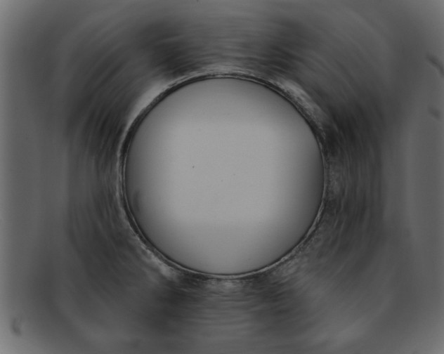 X0000091911286200709191313