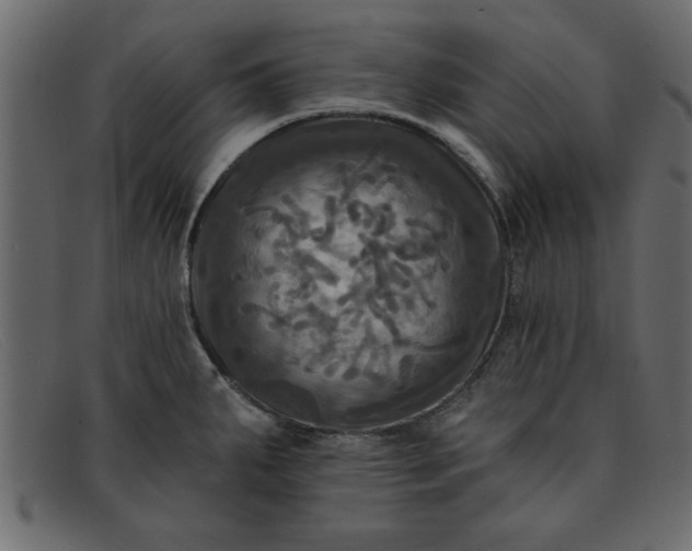 X0000091911287200709191313