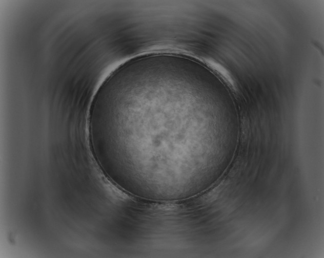 X0000091911288200709191313