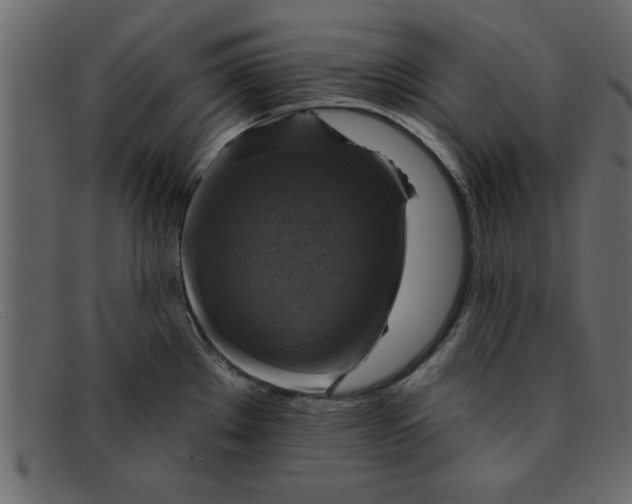 X0000091911289200709191313