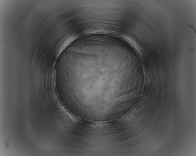 X0000091911290200709191313