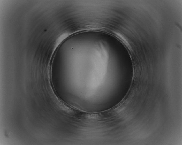 X0000091911291200709191313