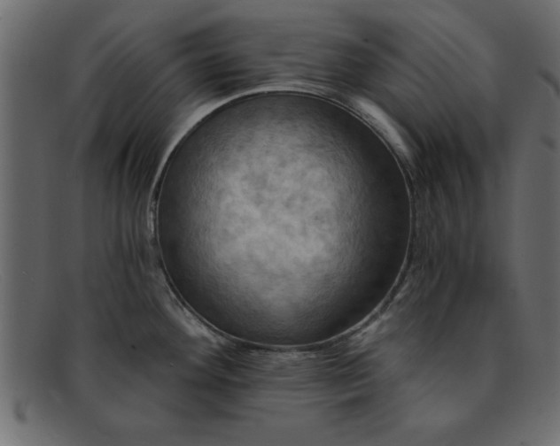 X0000091911292200709191313