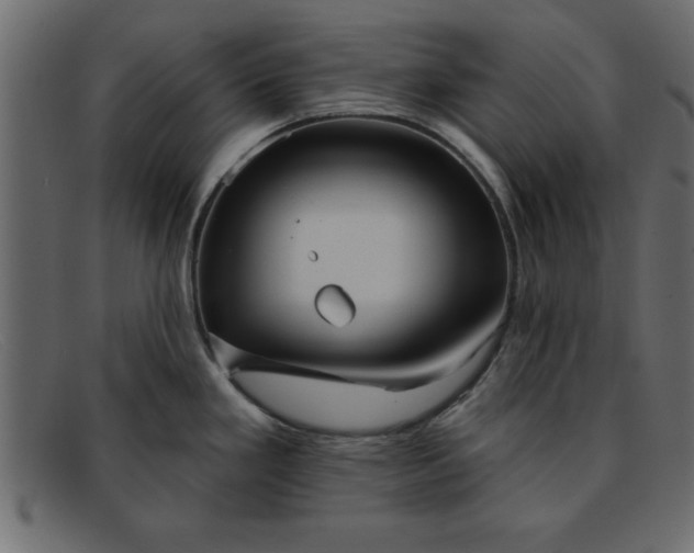 X0000091911293200709191313