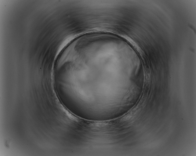 X0000091911294200709191313