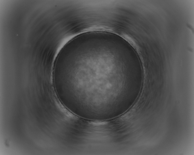 X0000091911296200709191313