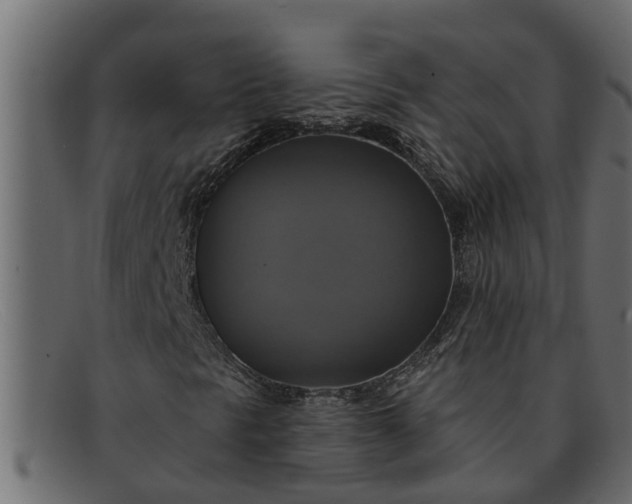 X0000091911297200709191312