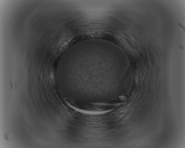 X0000091911298200709191312