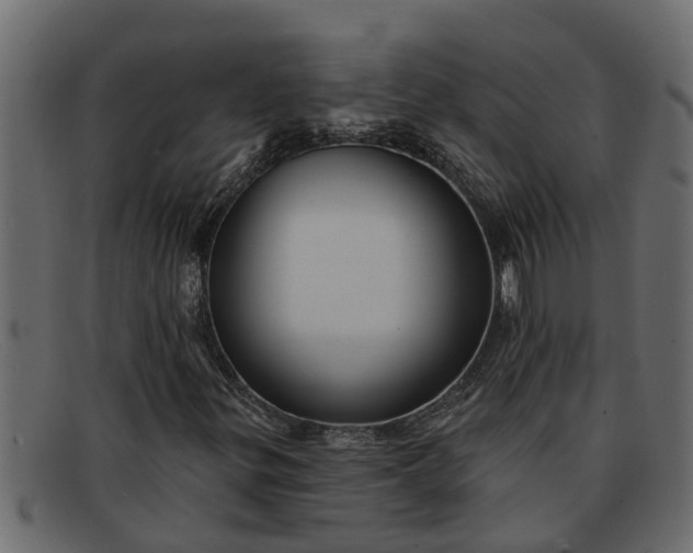 X0000091911299200709191312