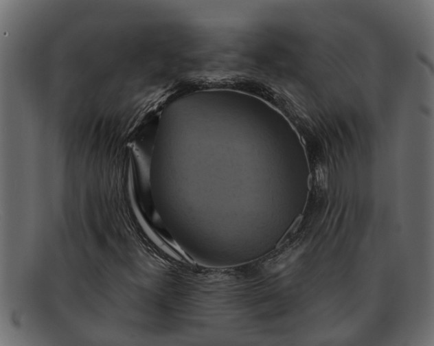 X0000091911300200709191312