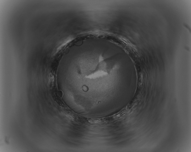 X0000091911302200709191312