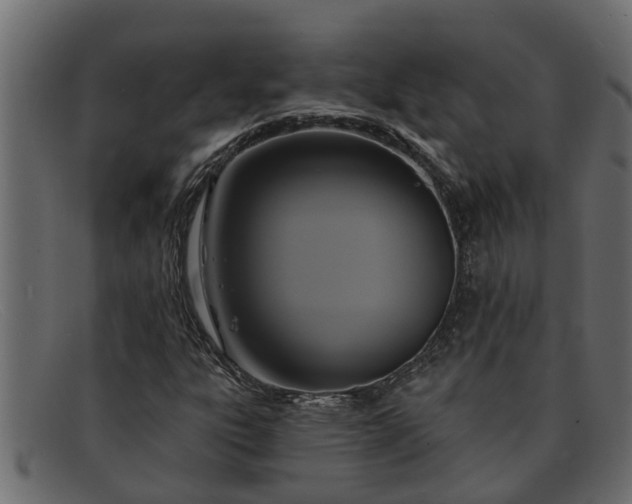 X0000091911303200709191312