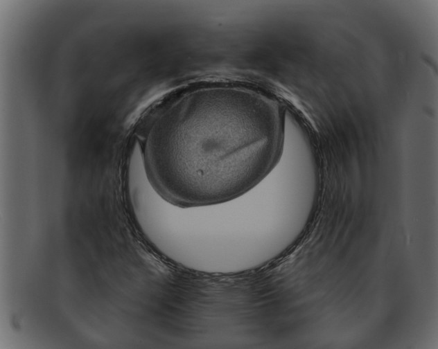 X0000091911304200709191312