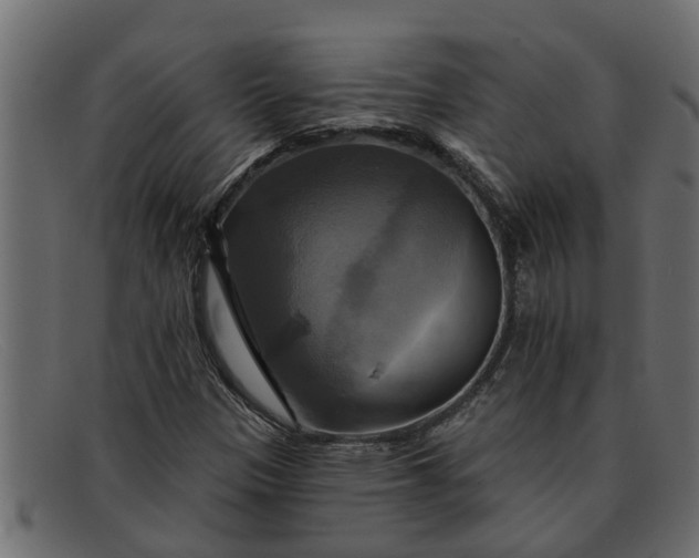 X0000091911305200709191312