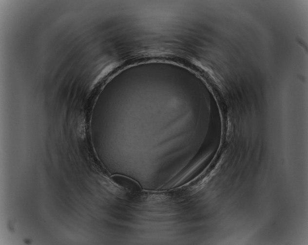 X0000091911306200709191312