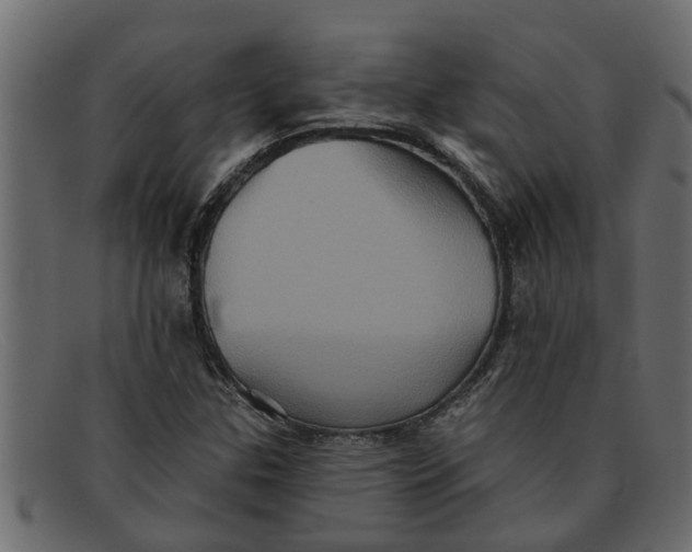 X0000091911307200709191312