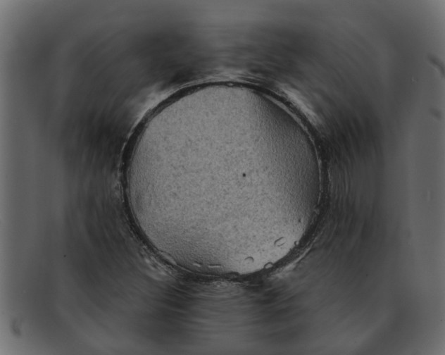 X0000091911308200709191312