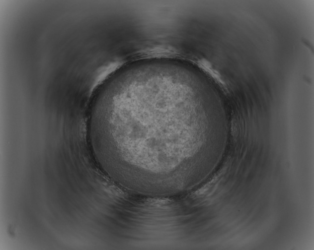 X0000091911309200709191312