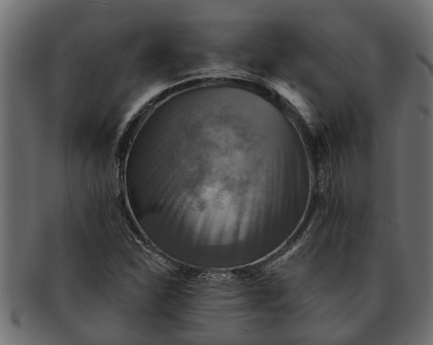 X0000091911310200709191312