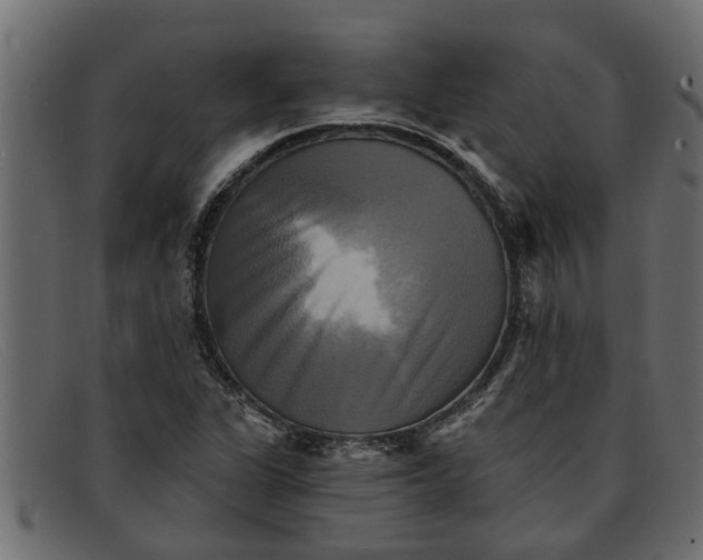 X0000091911311200709191312