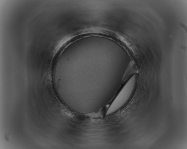 X0000091911312200709191312