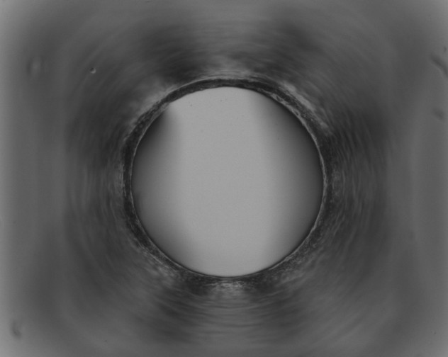 X0000091911315200709191312