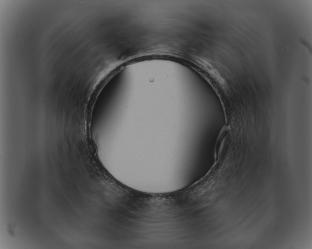 X0000091911316200709191312