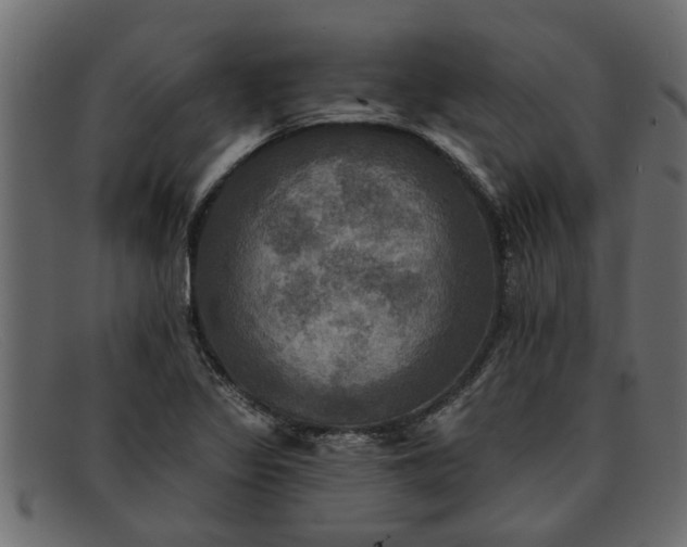 X0000091911317200709191312