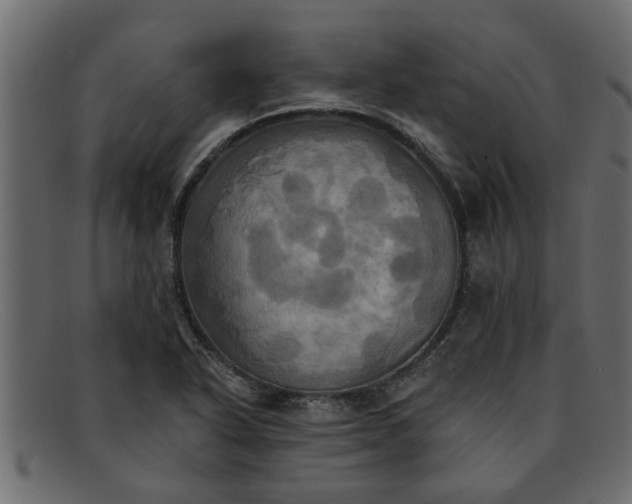 X0000091911318200709191312