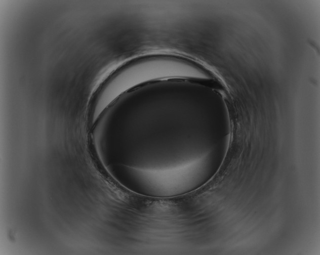 X0000091911319200709191312