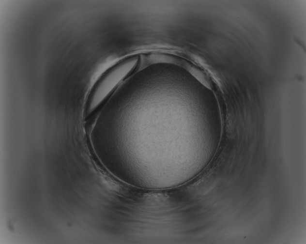 X0000091911320200709191312