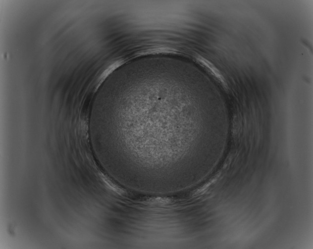 X0000091911321200709191312