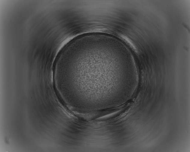 X0000091911324200709191312