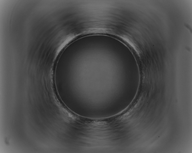 X0000091911325200709191312