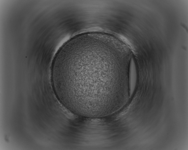 X0000091911326200709191312