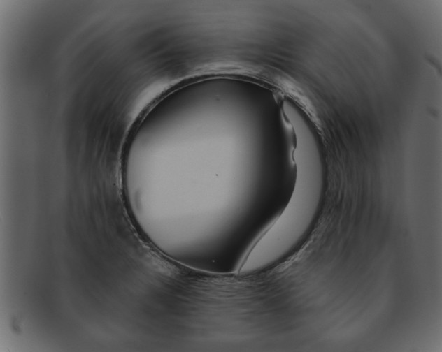 X0000091911328200709191312