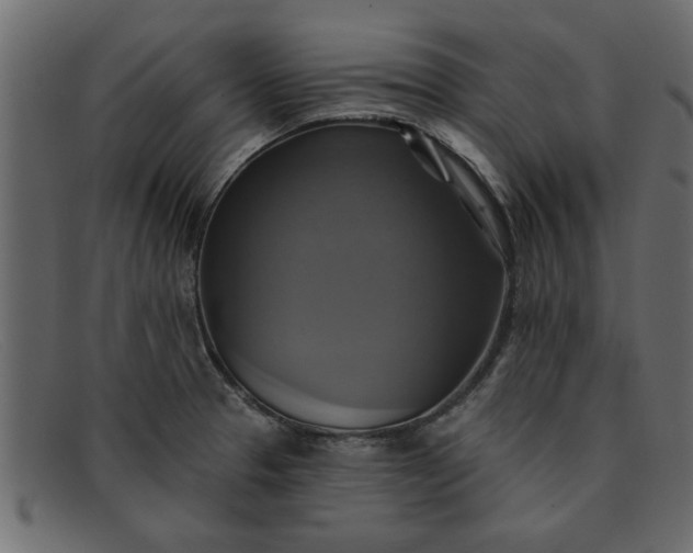 X0000091911329200709191312