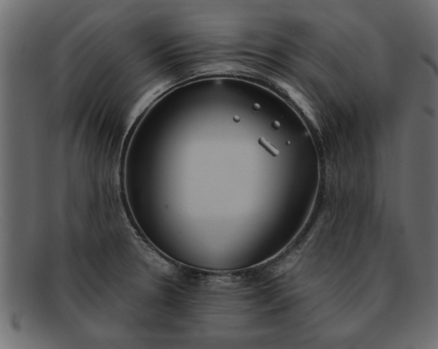 X0000091911330200709191312