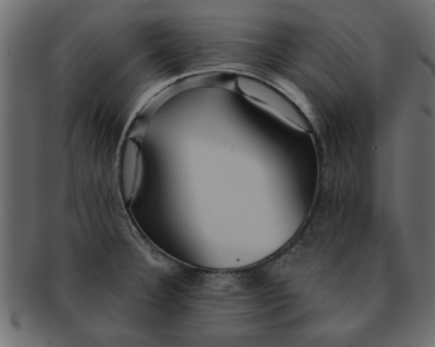 X0000091911332200709191312