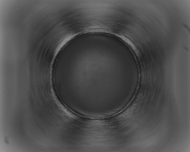 X0000091911333200709191312